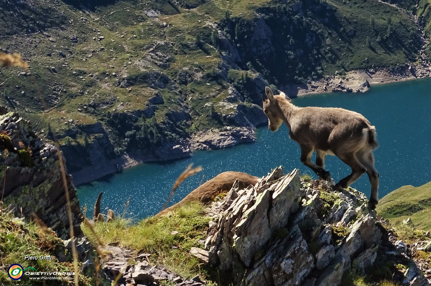 81 Ben sicuri a precipizio sulle rocce con vista sui Laghi Gemelli.JPG